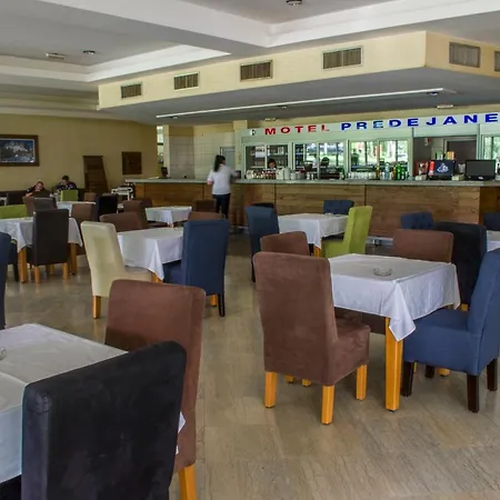 מוטל Motel Predejane