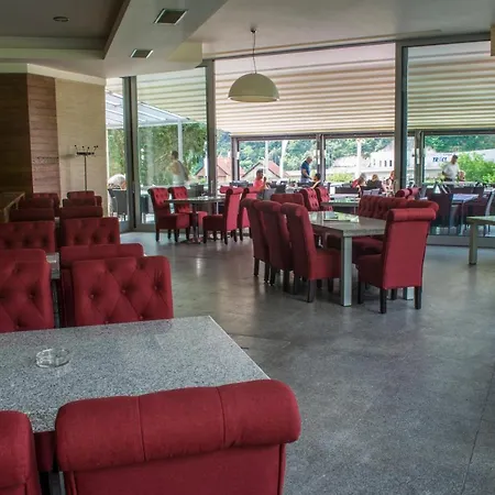 Motel Predejane פרדיאנה