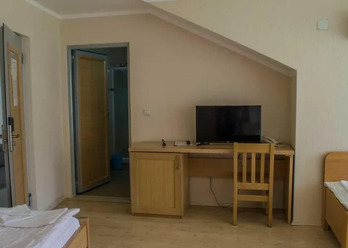 Motel Motel Predejane 3*